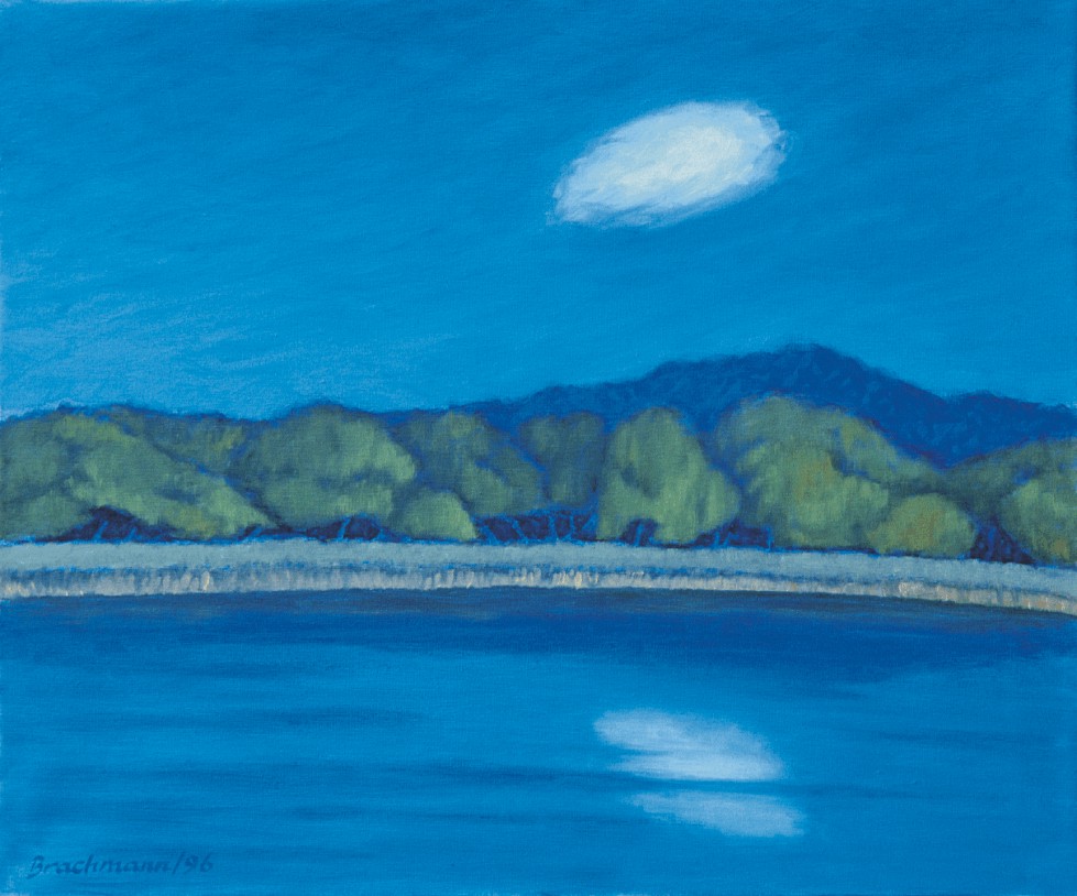 Monika_Brachmann,Kleiner_Luzin_am_Erddamm,1996,O-L,50x60cm,WV356